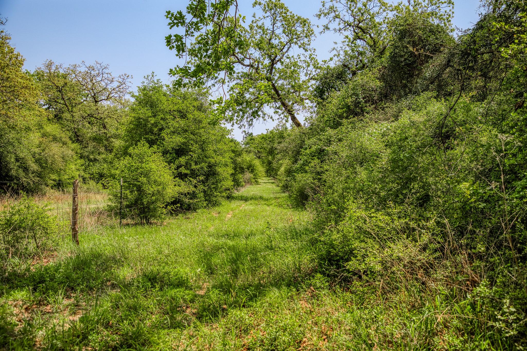 7266 County Road 449