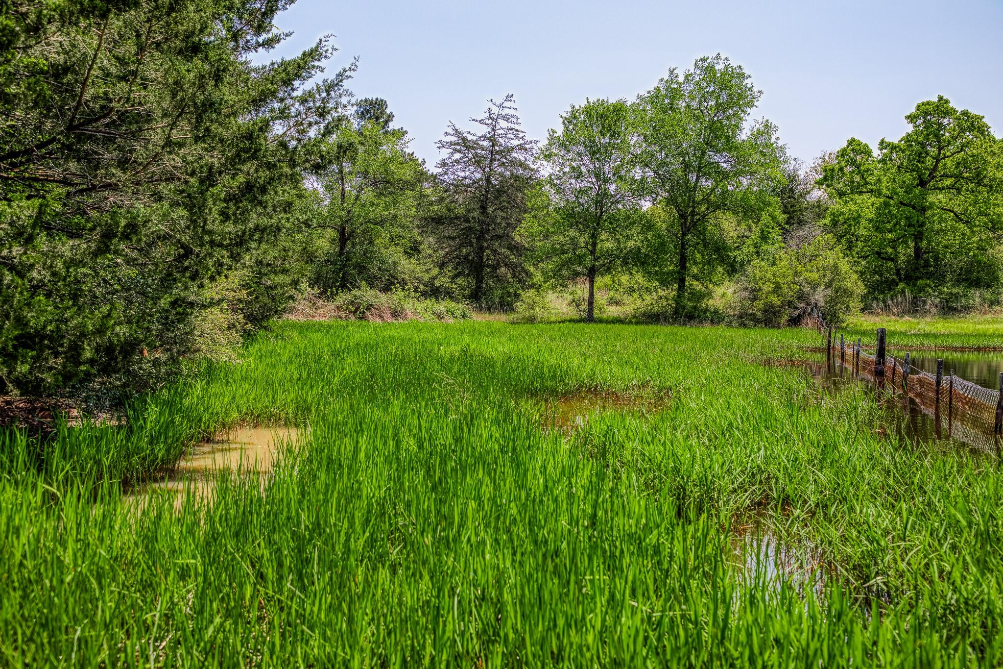 7266 County Road 449