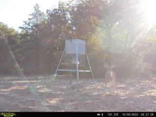 7266 County Road 449