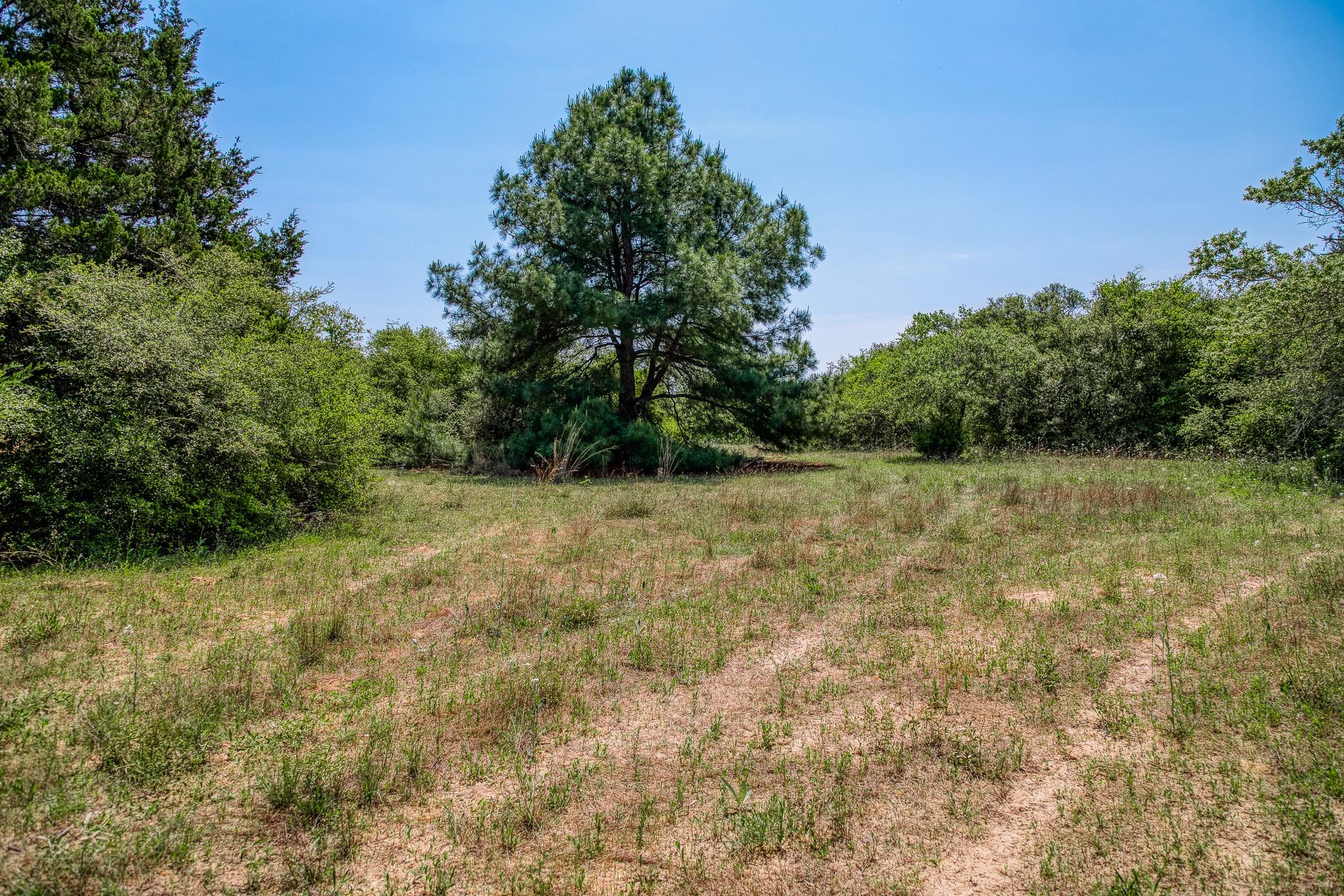 7266 County Road 449