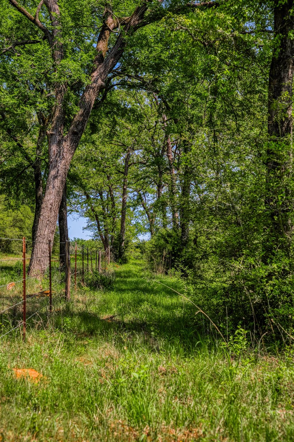 7266 County Road 449