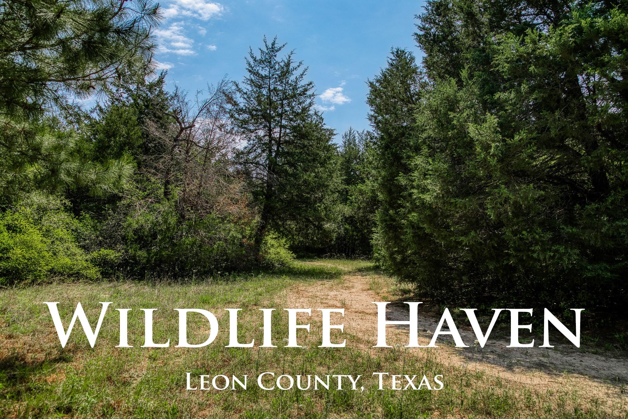 7266 County Road 449