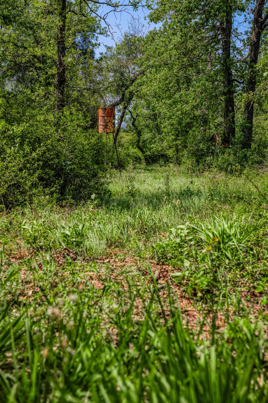 7266 County Road 449