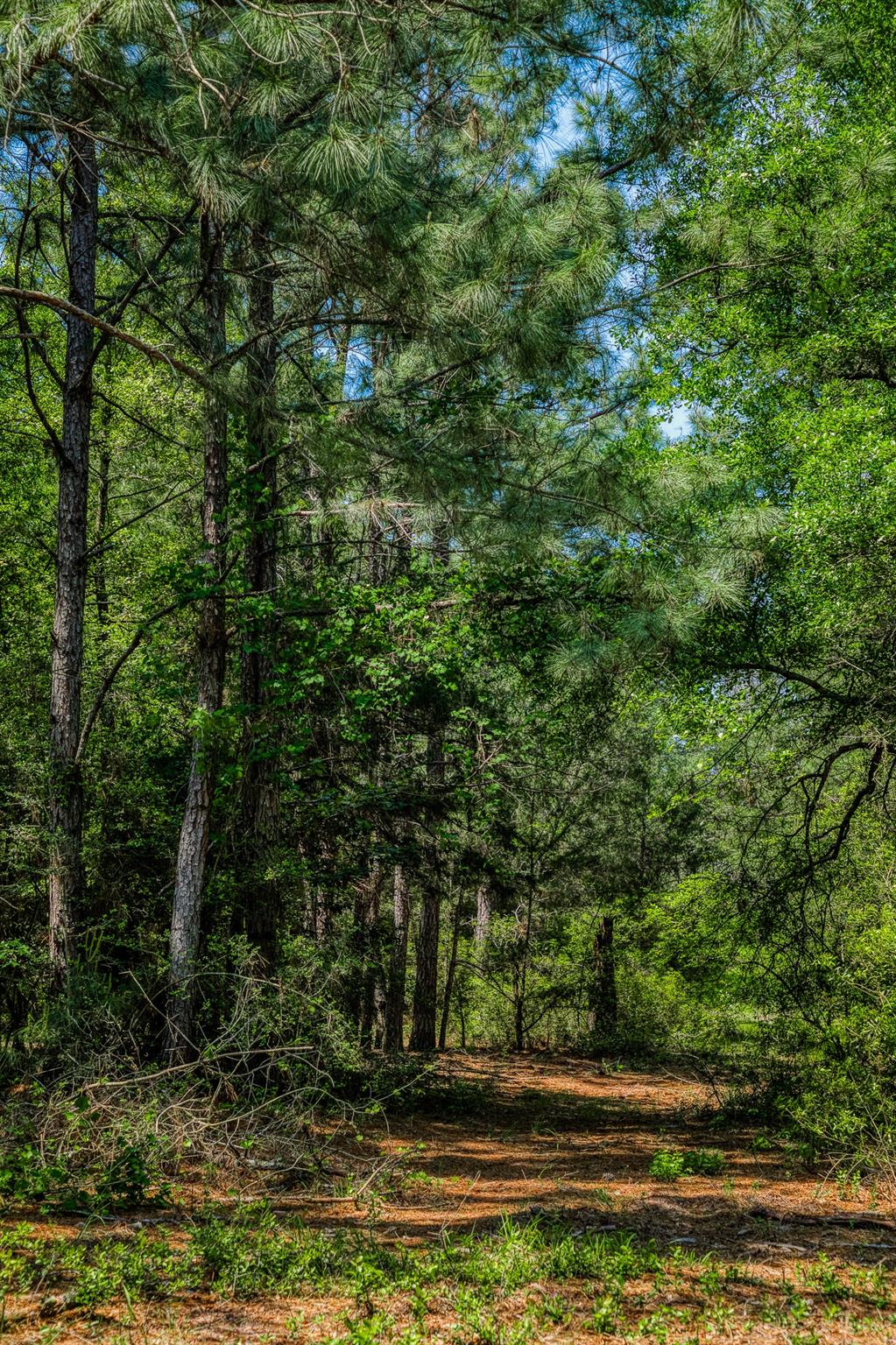 7266 County Road 449