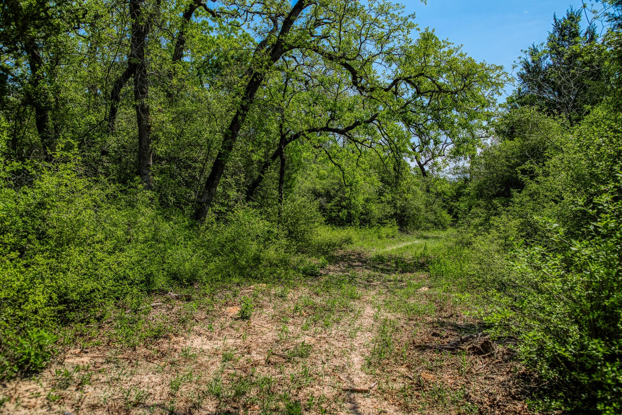 7266 County Road 449