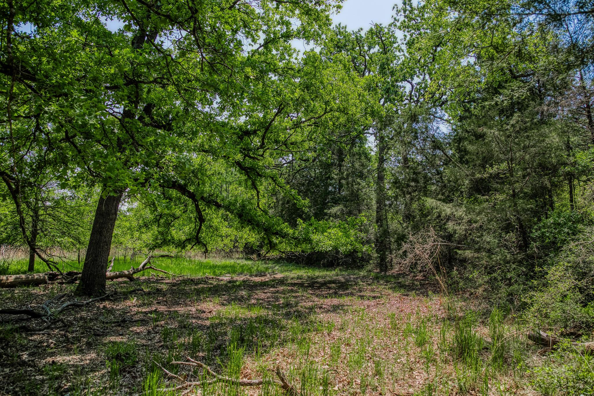 7266 County Road 449
