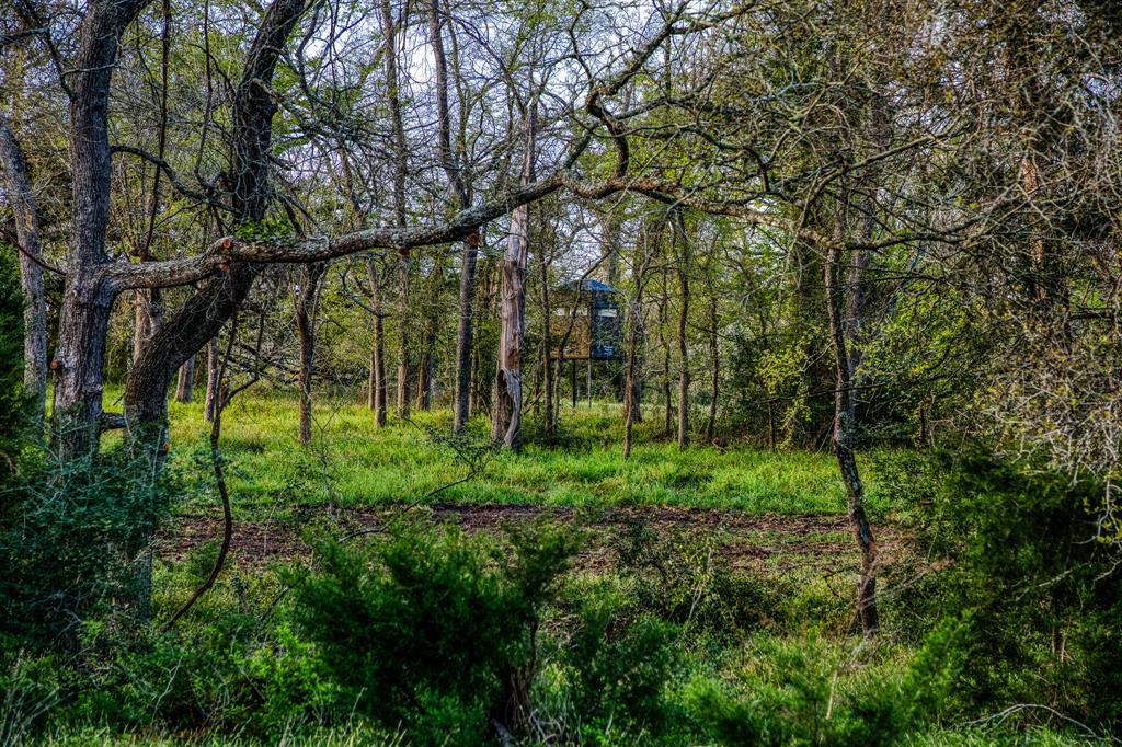 Tract 6,7,8 Fieldcrest Ln