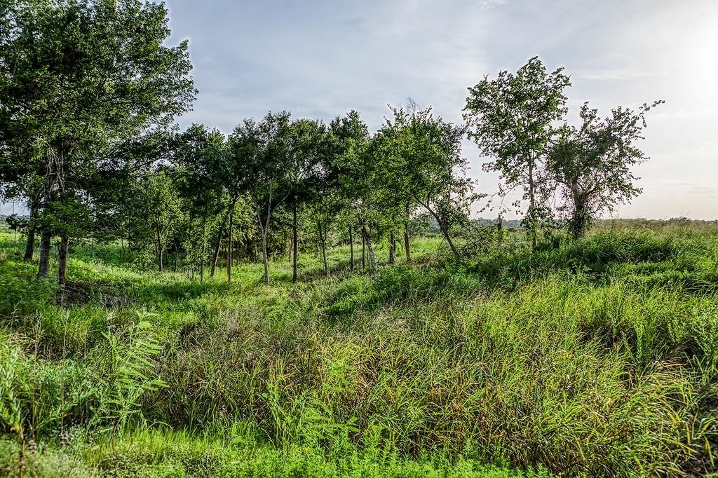 Lot 9 Hargrove Lane