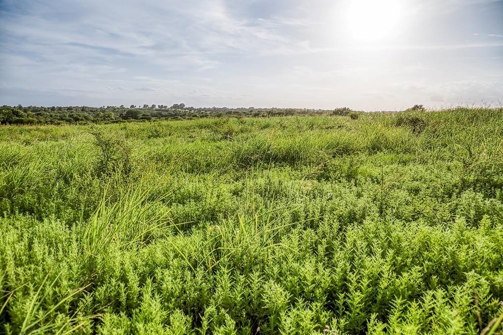 Lot 9 Hargrove Lane