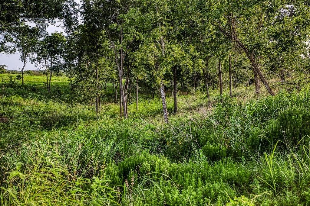 Lot 9 Hargrove Lane