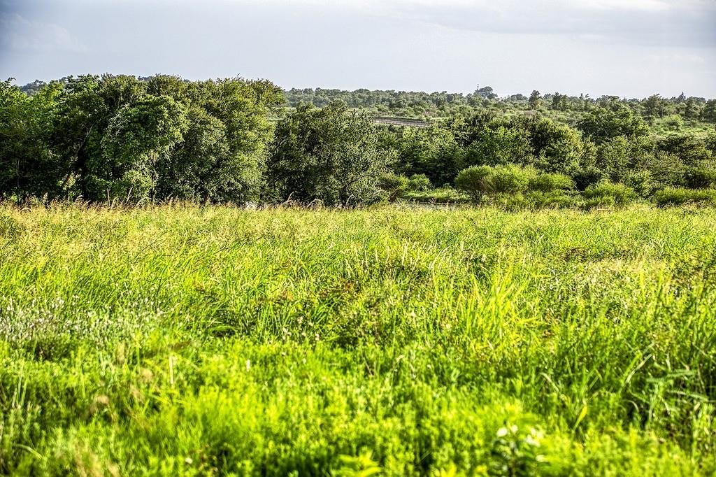 Lot 9 Hargrove Lane