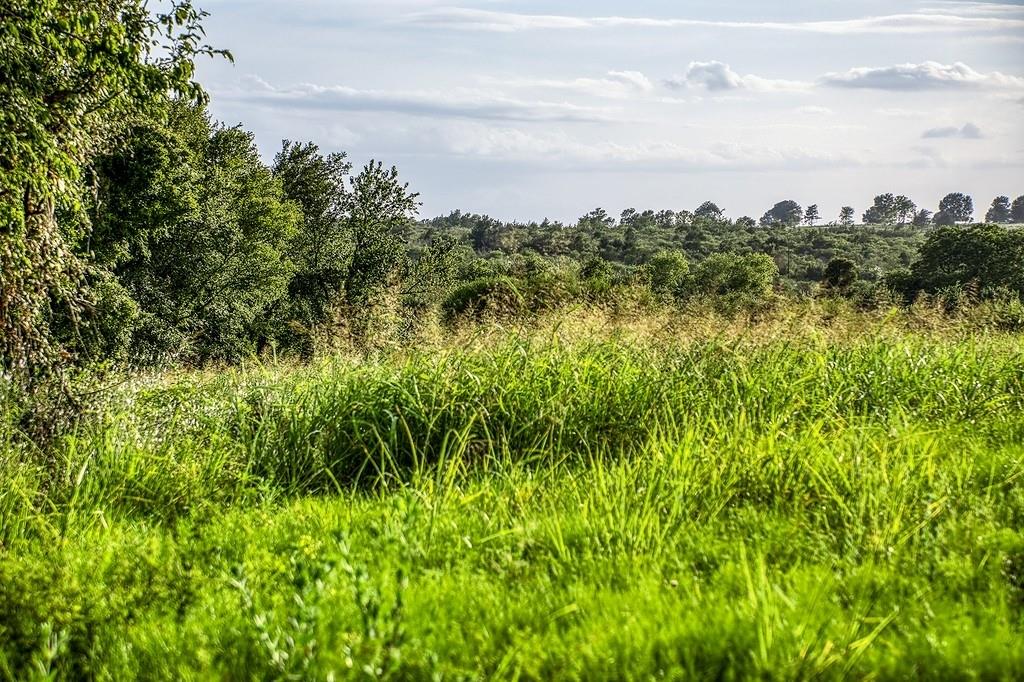 Lot 9 Hargrove Lane