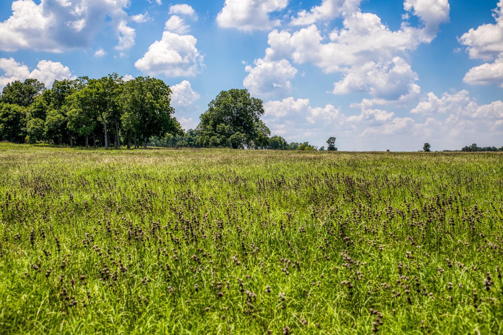 00 Flat Prairie Road