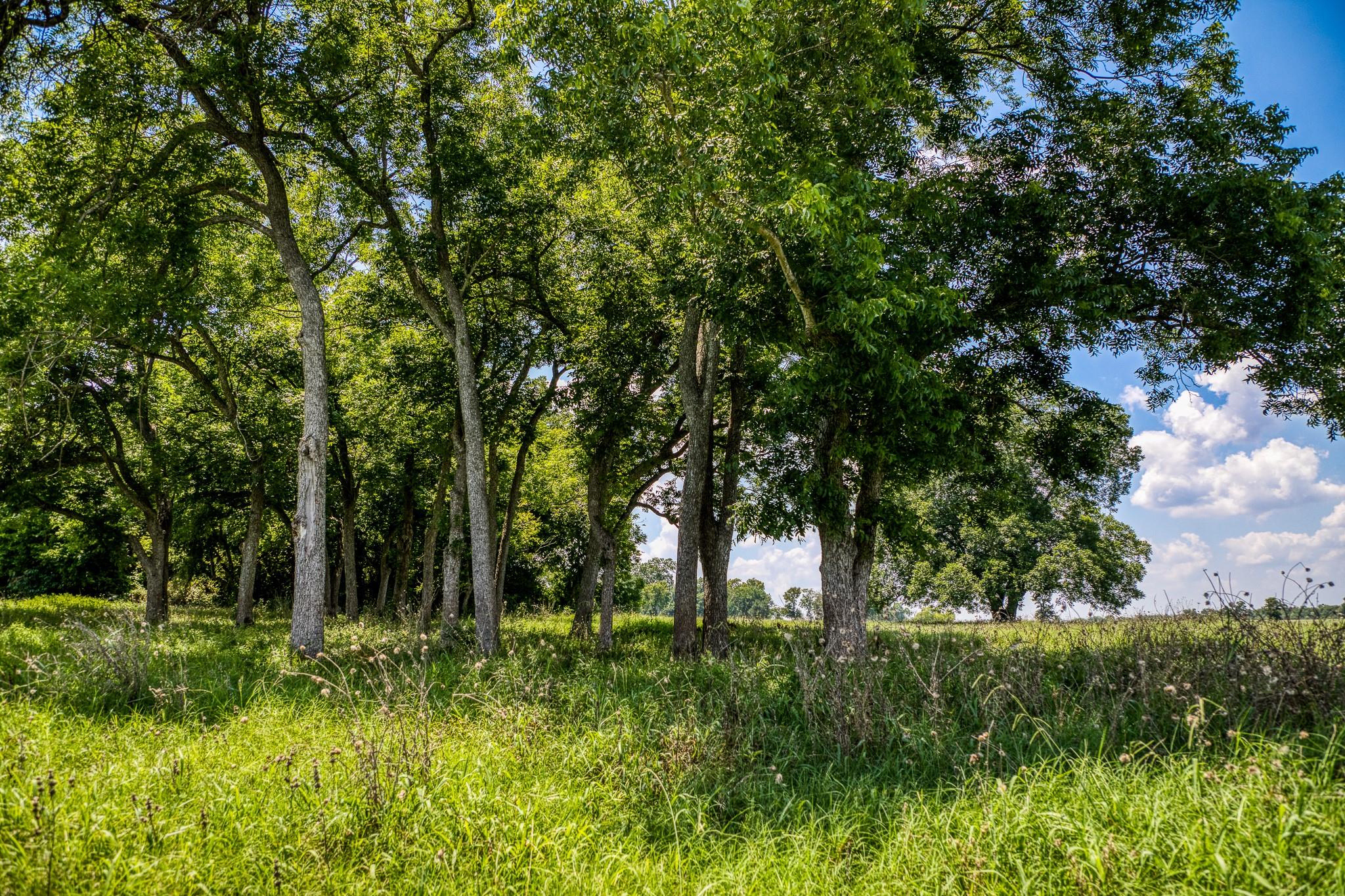 00 Flat Prairie Road