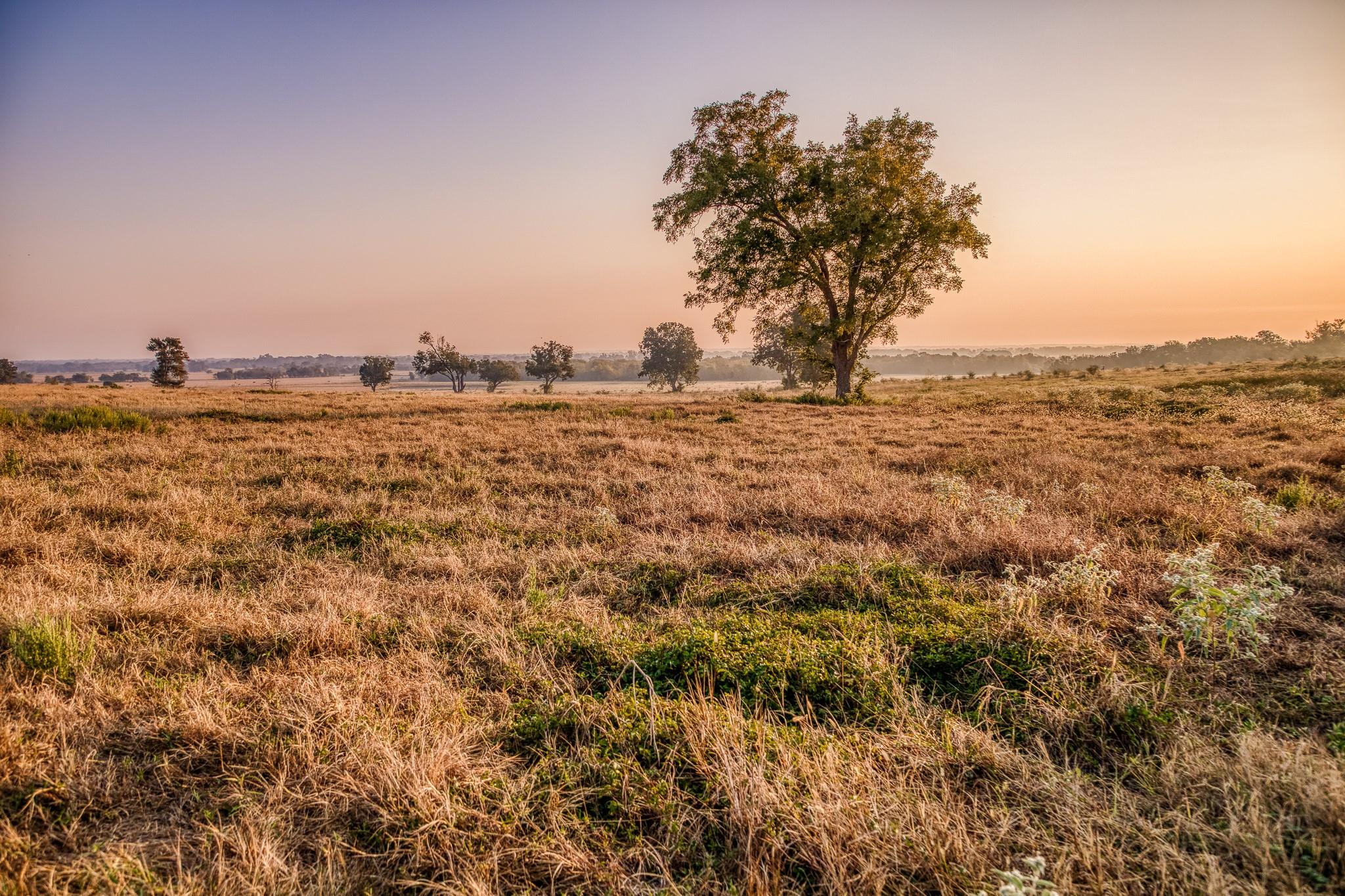 TBD Flat Prairie Road