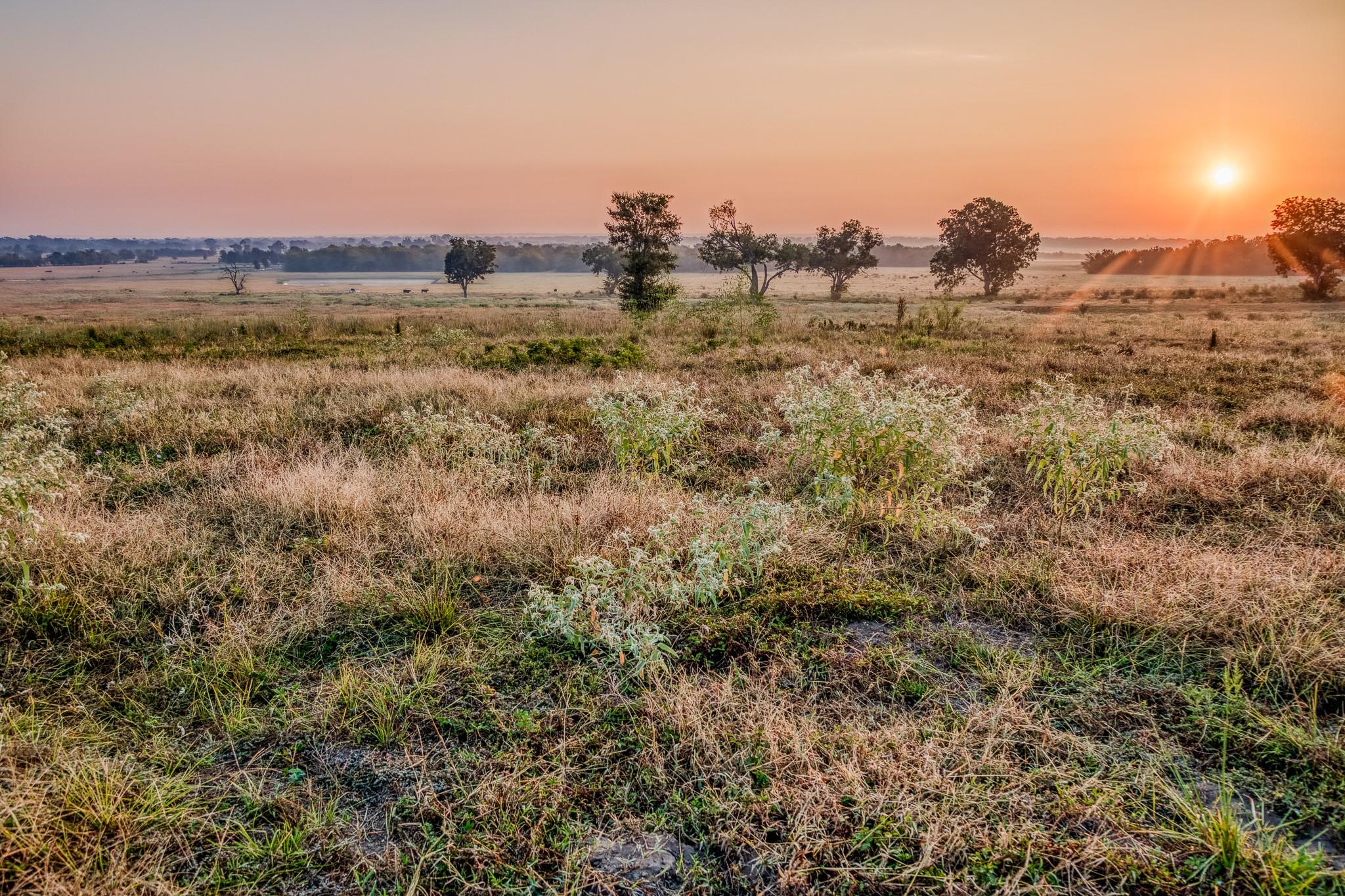 TBD Flat Prairie Road