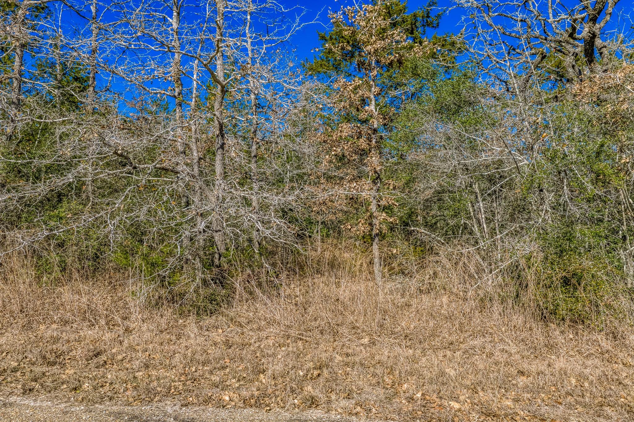 2113 County Road 278