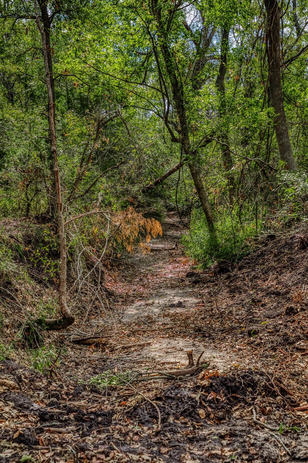 Tract 4 Sun Oil Road