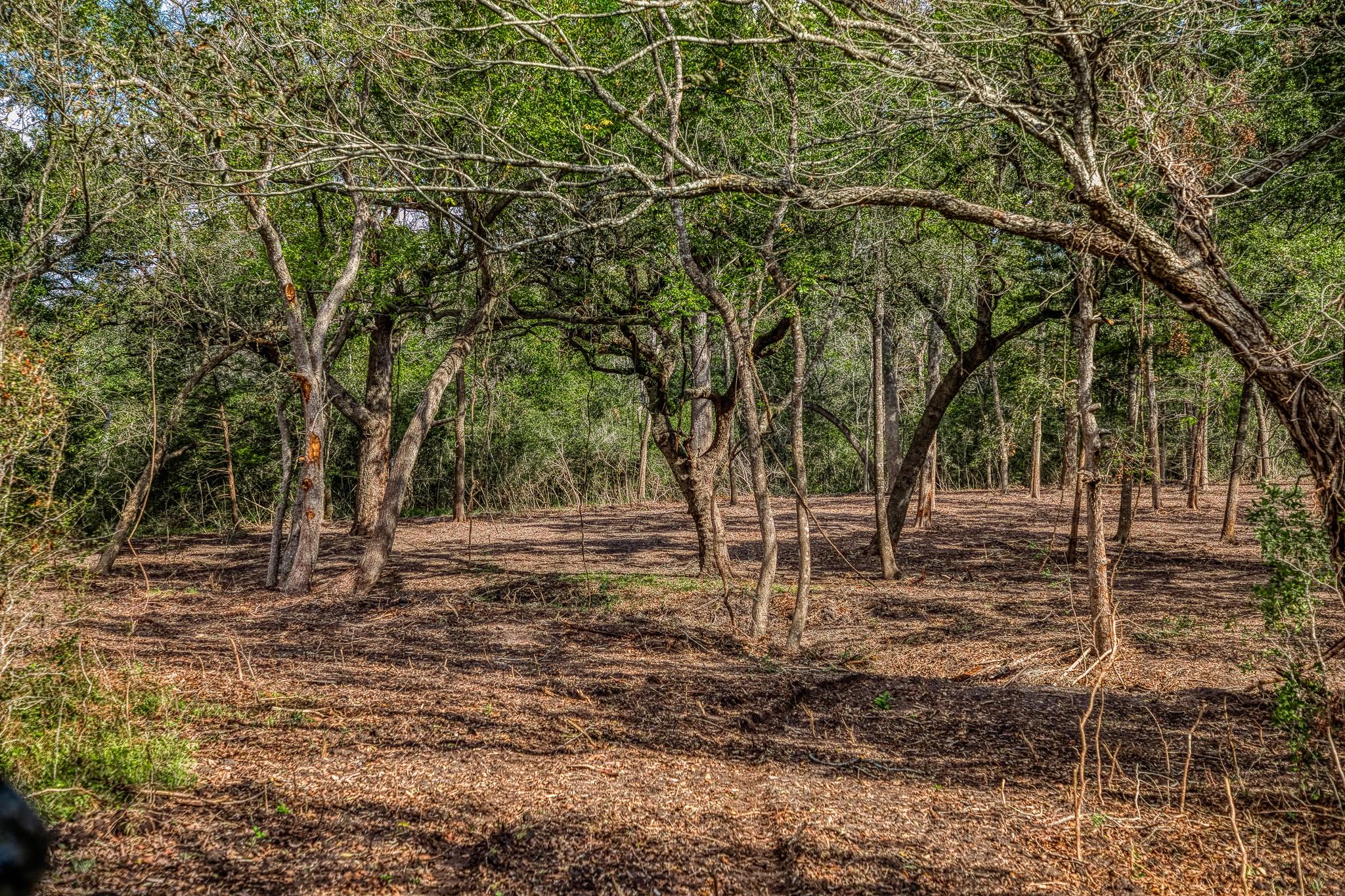 Tract 4 Sun Oil Road