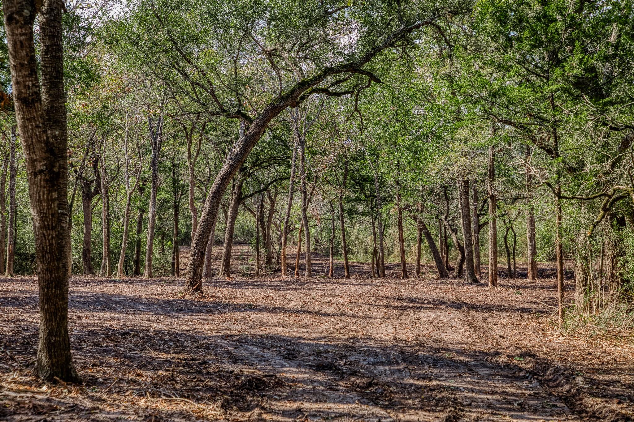 Tract 4 Sun Oil Road