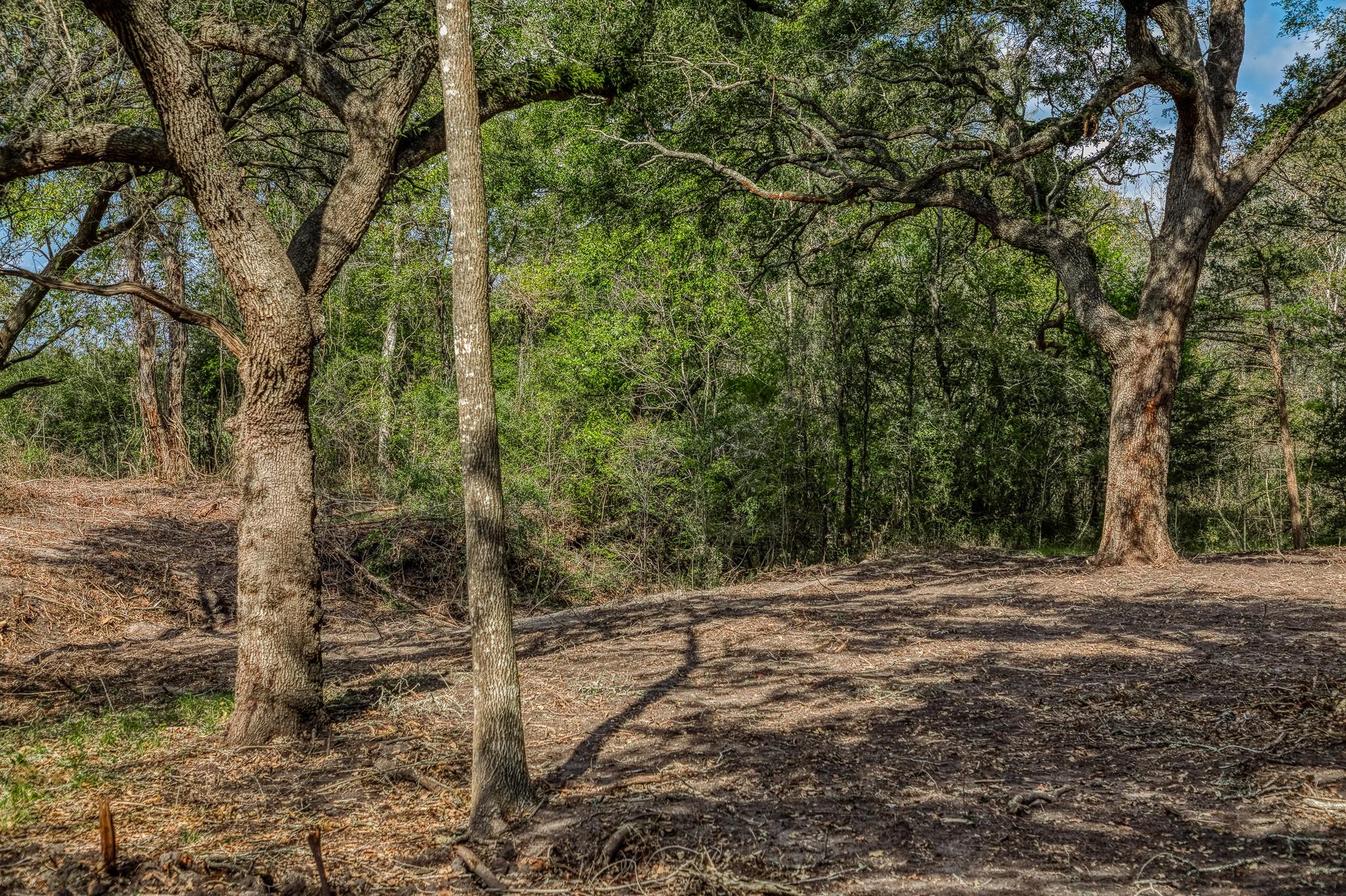 Tract 4 Sun Oil Road