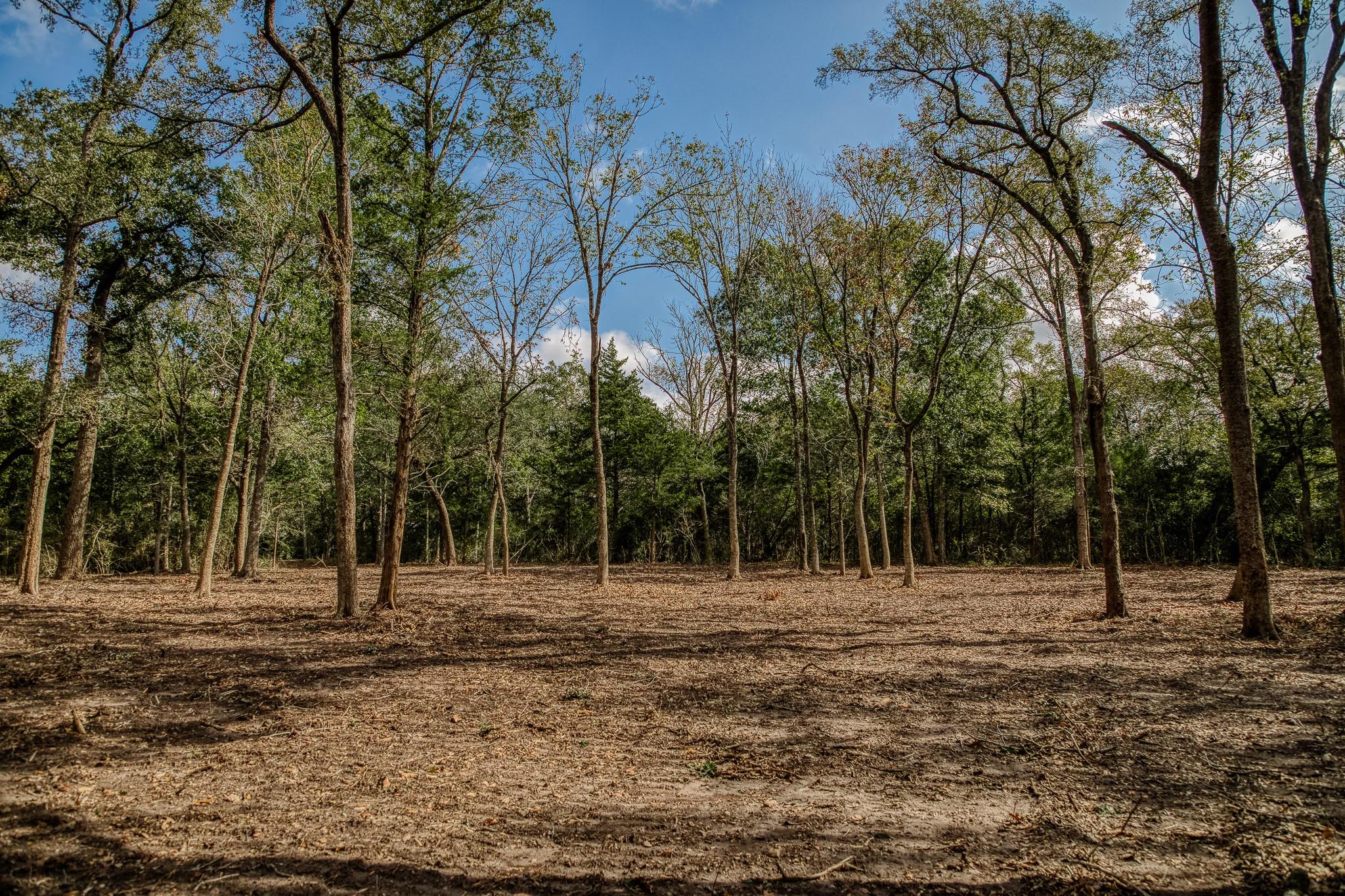 Tract 4 Sun Oil Road