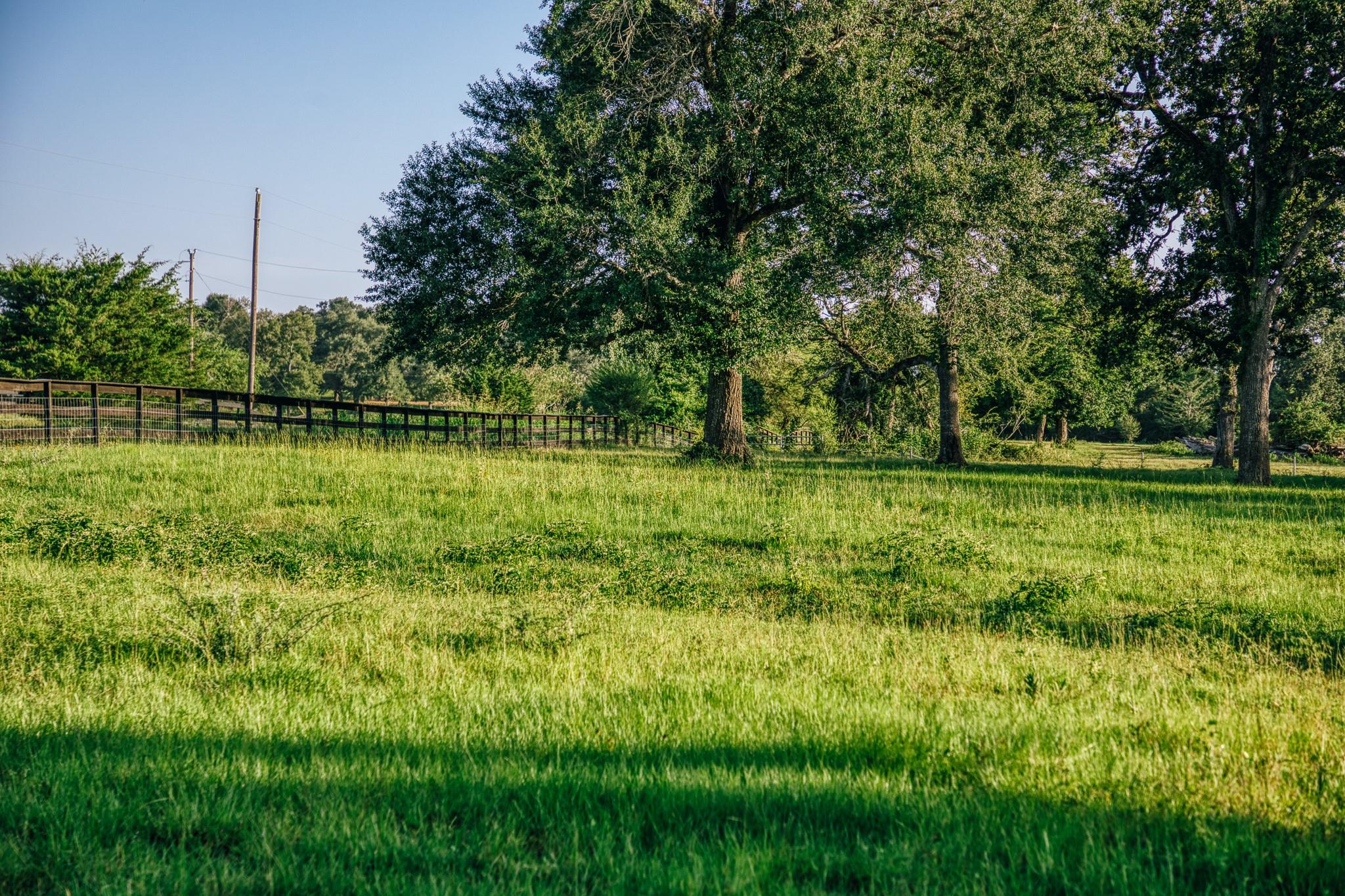 8321 Equestrian Lane
