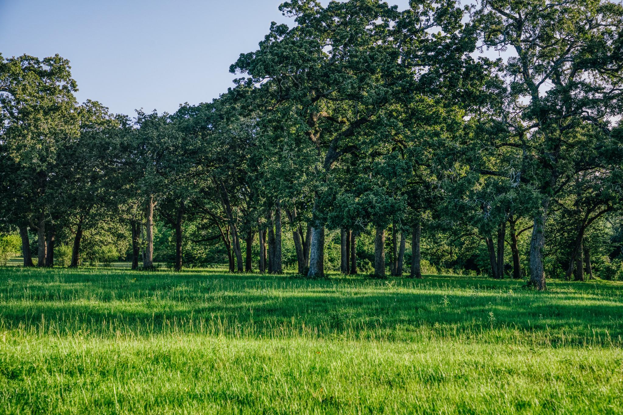 8321 Equestrian Lane