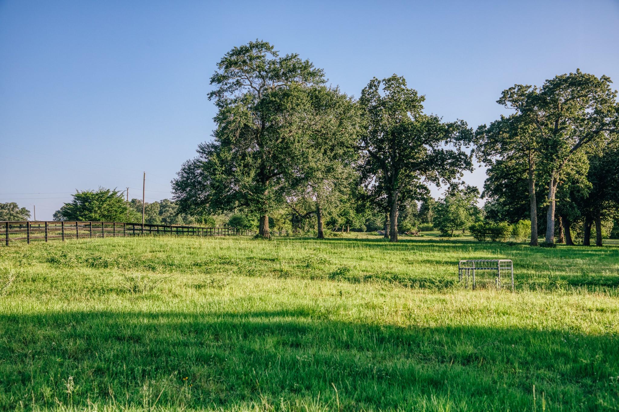 8321 Equestrian Lane