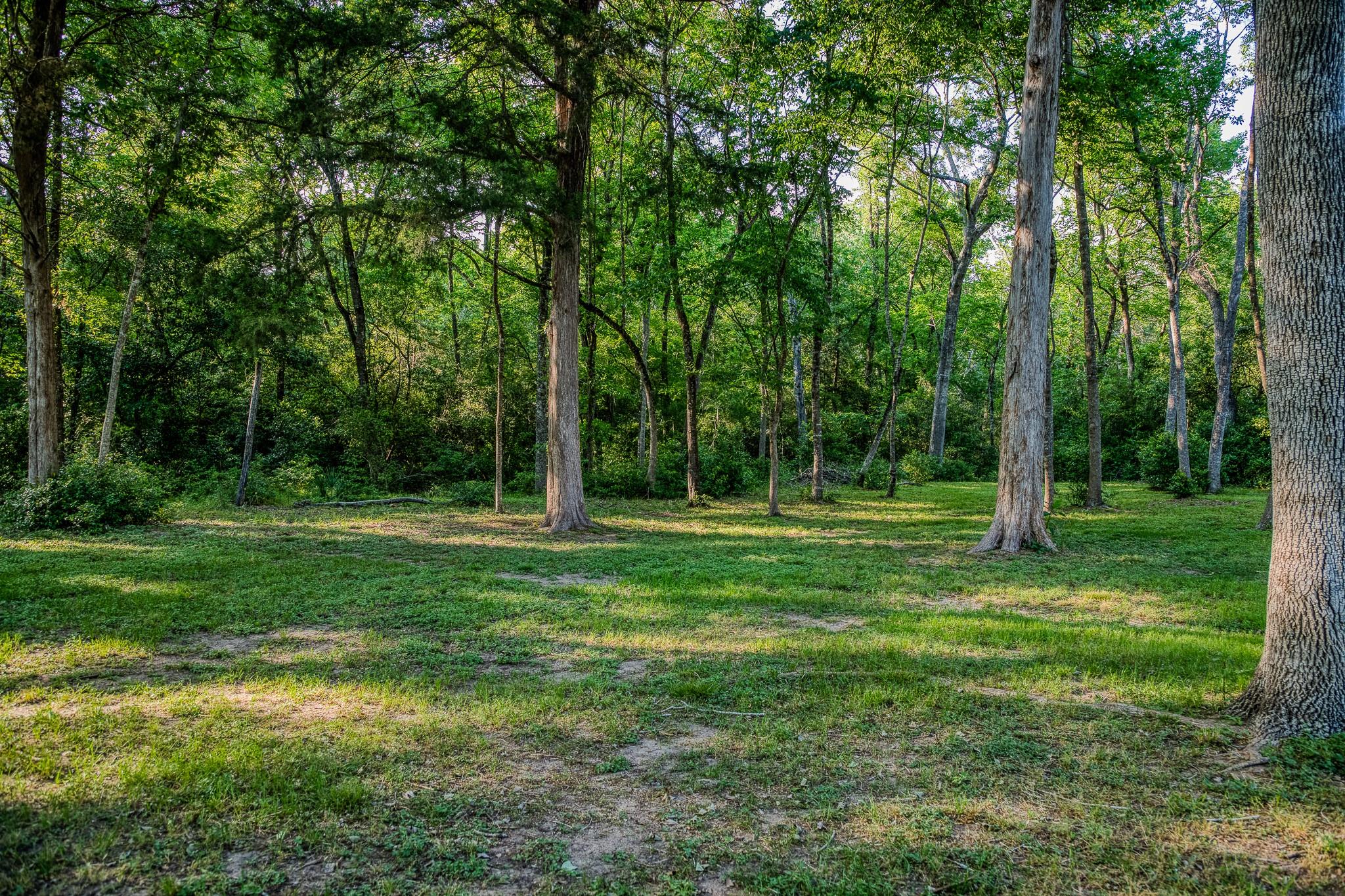 1502 Wiesepape Road