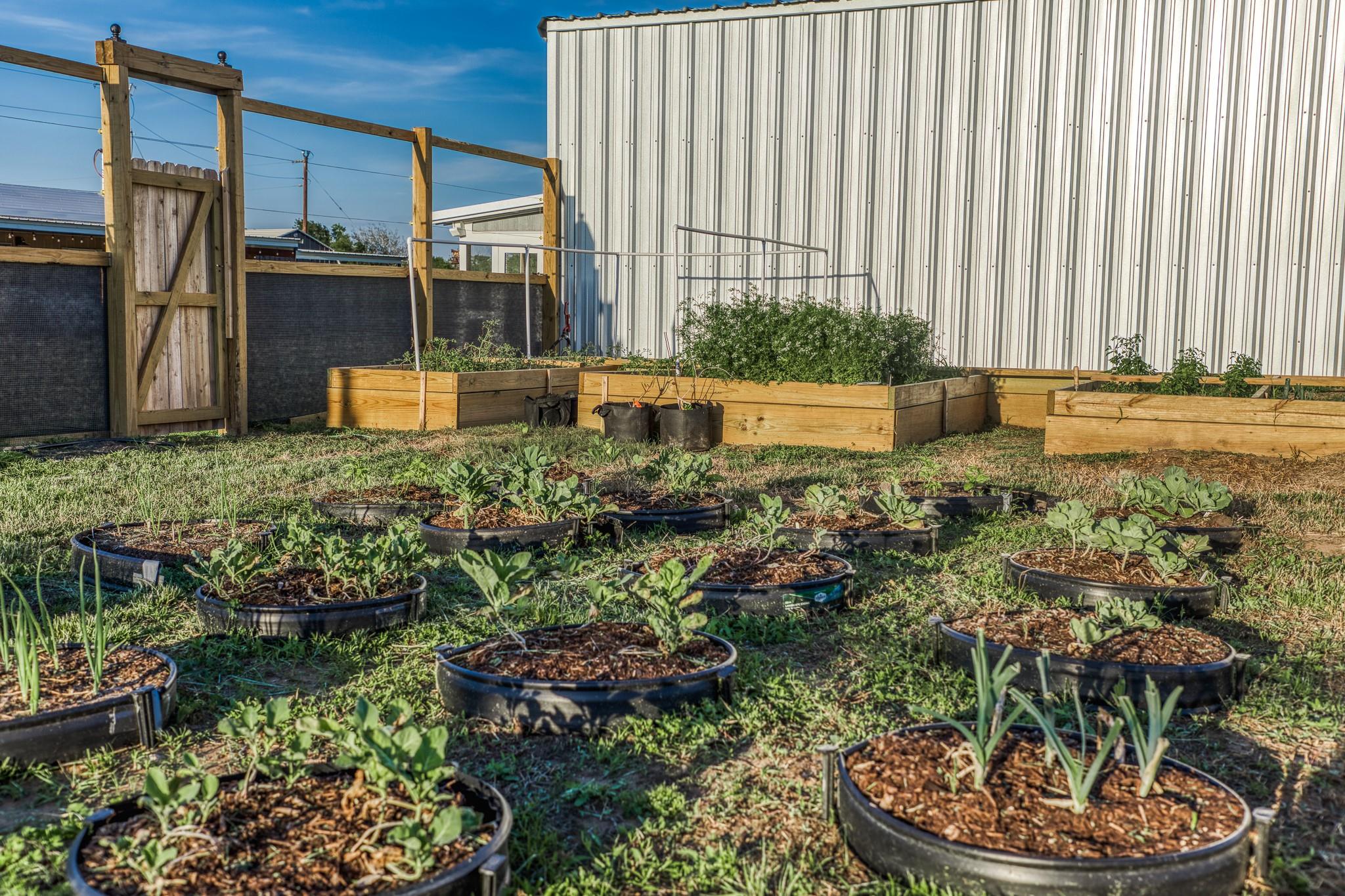 15520 Farm To Market 912