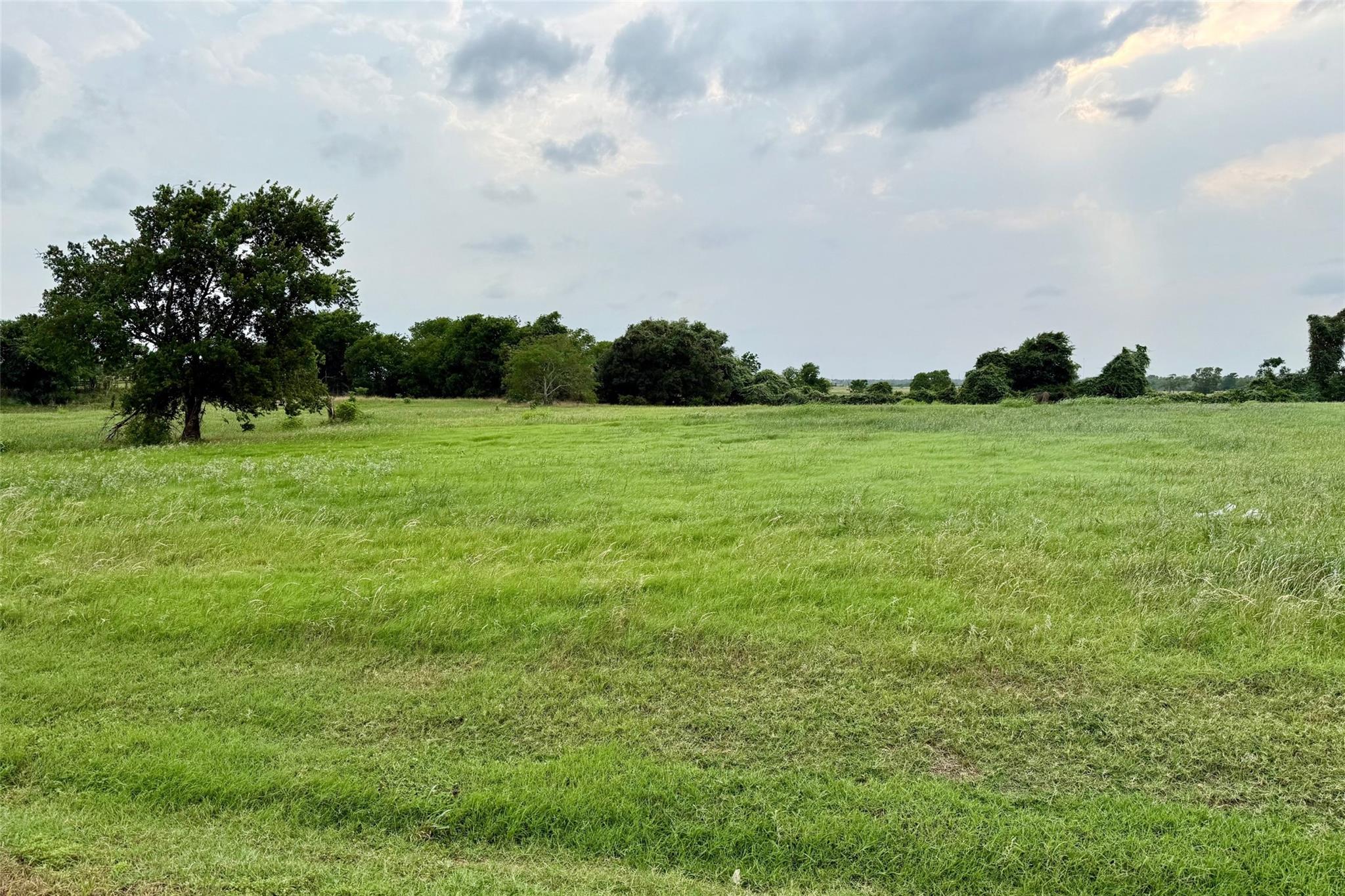 1185 Bluebonnet Ridge Drive