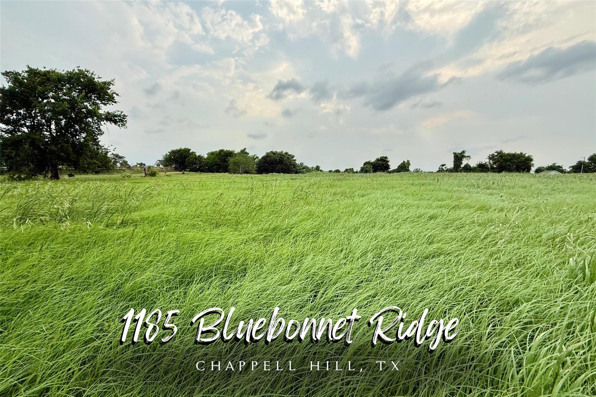 1185 Bluebonnet Ridge Drive