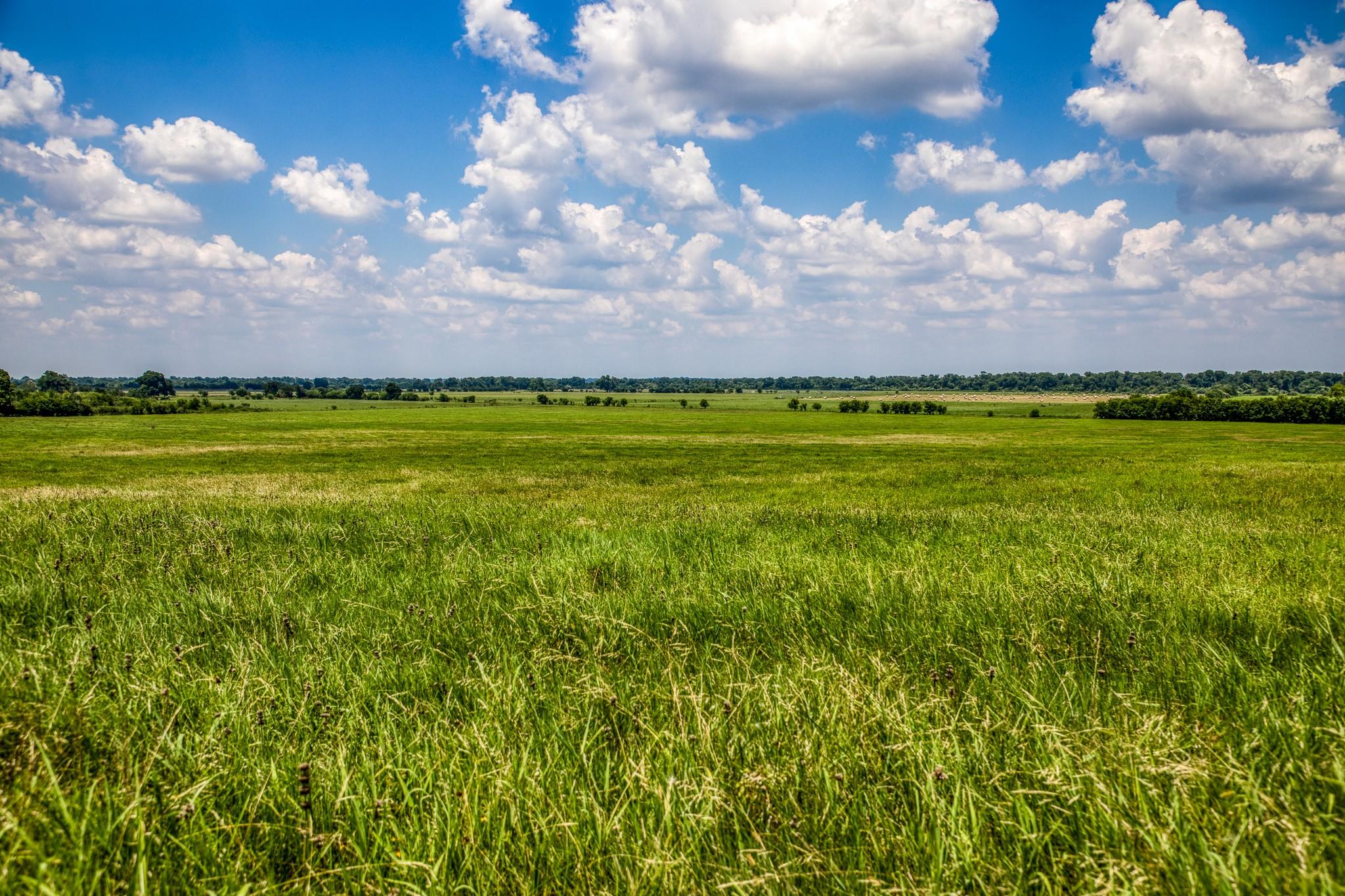 T B D T B D Farm To Market 2726 Road