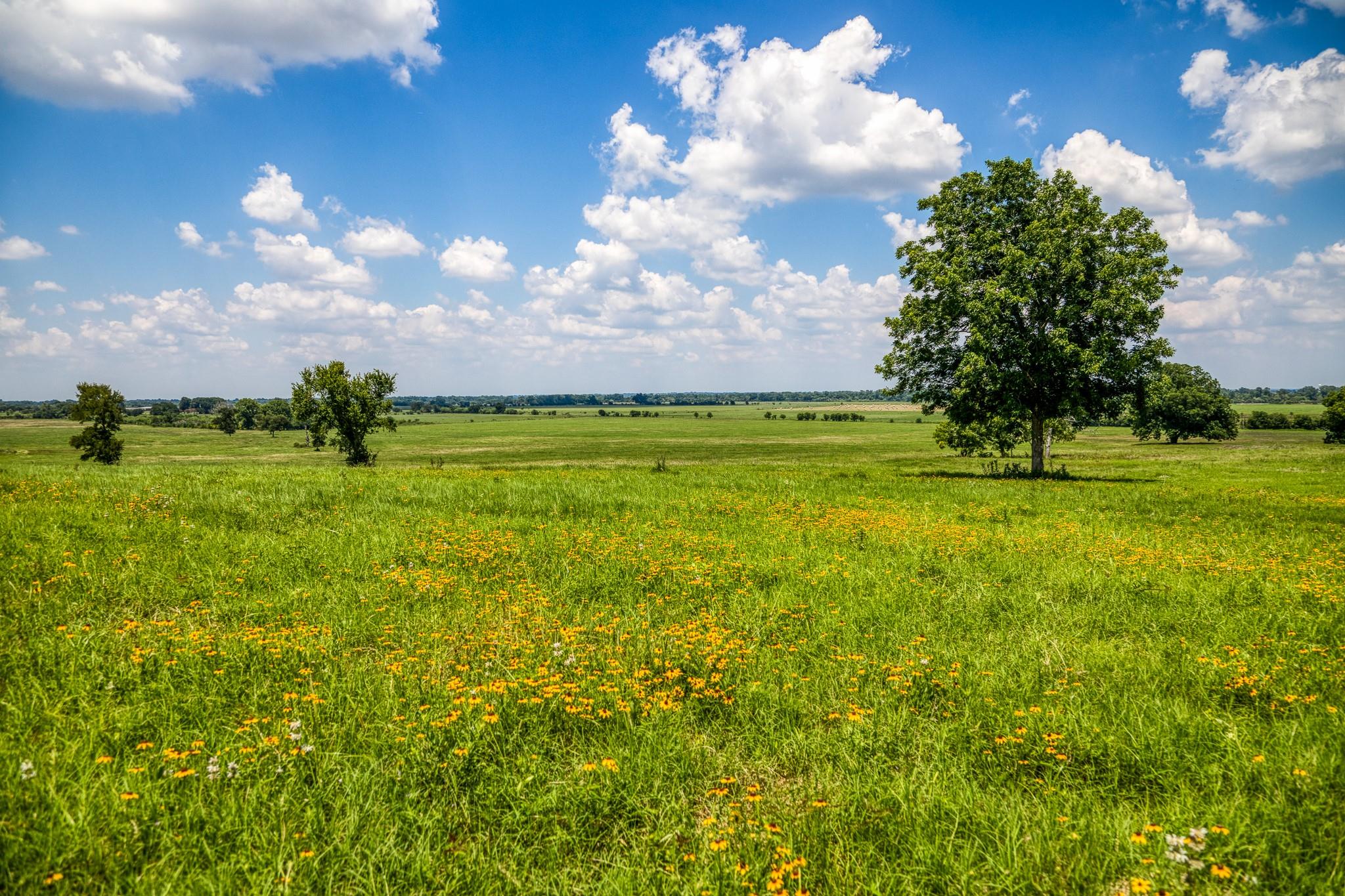 T B D T B D Farm To Market 2726 Road