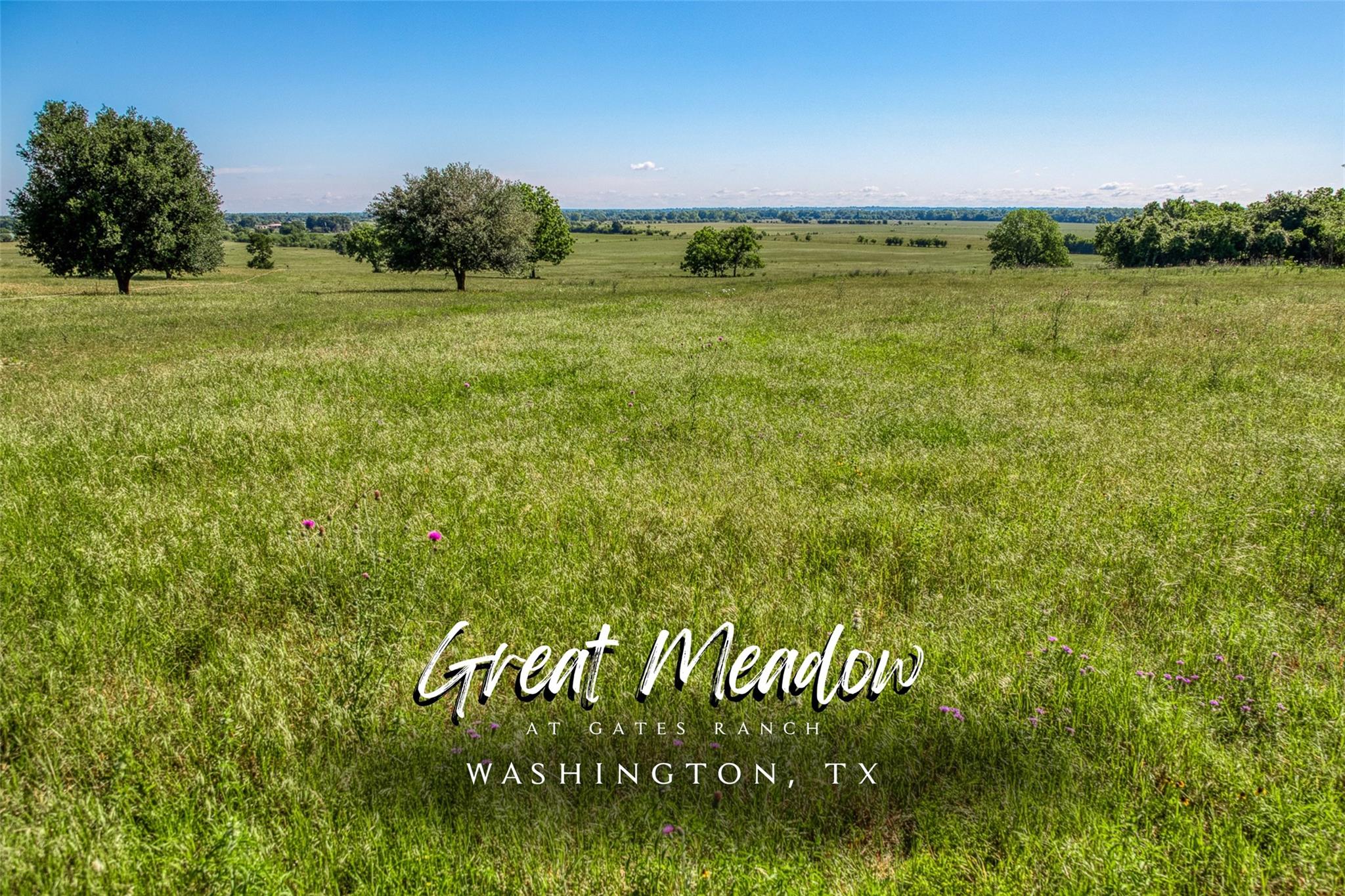 T B D T B D Farm To Market 2726 Road