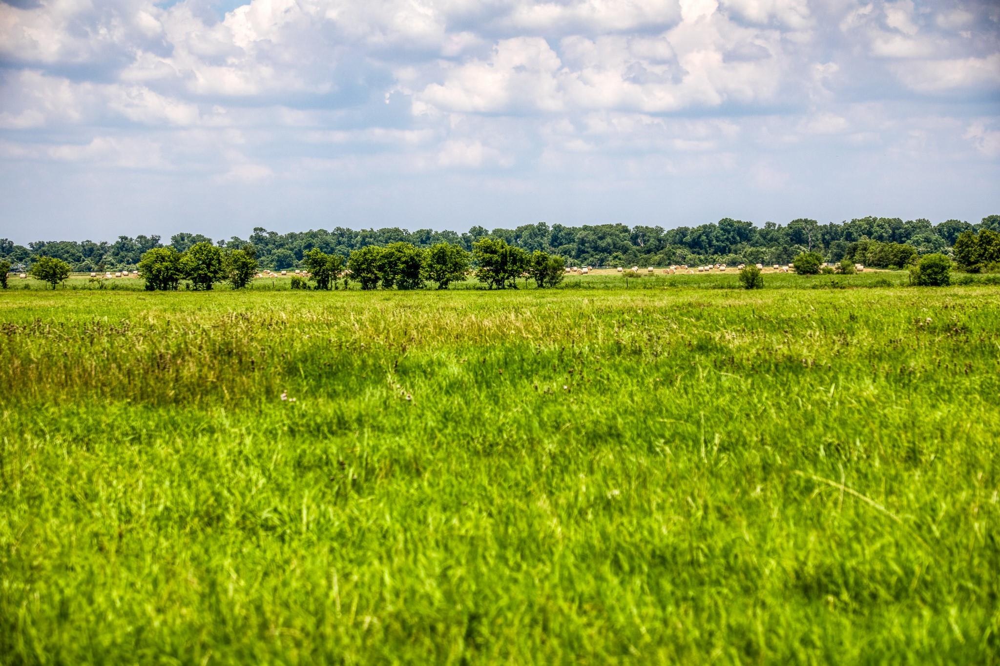 T B D T B D Farm To Market 2726 Road