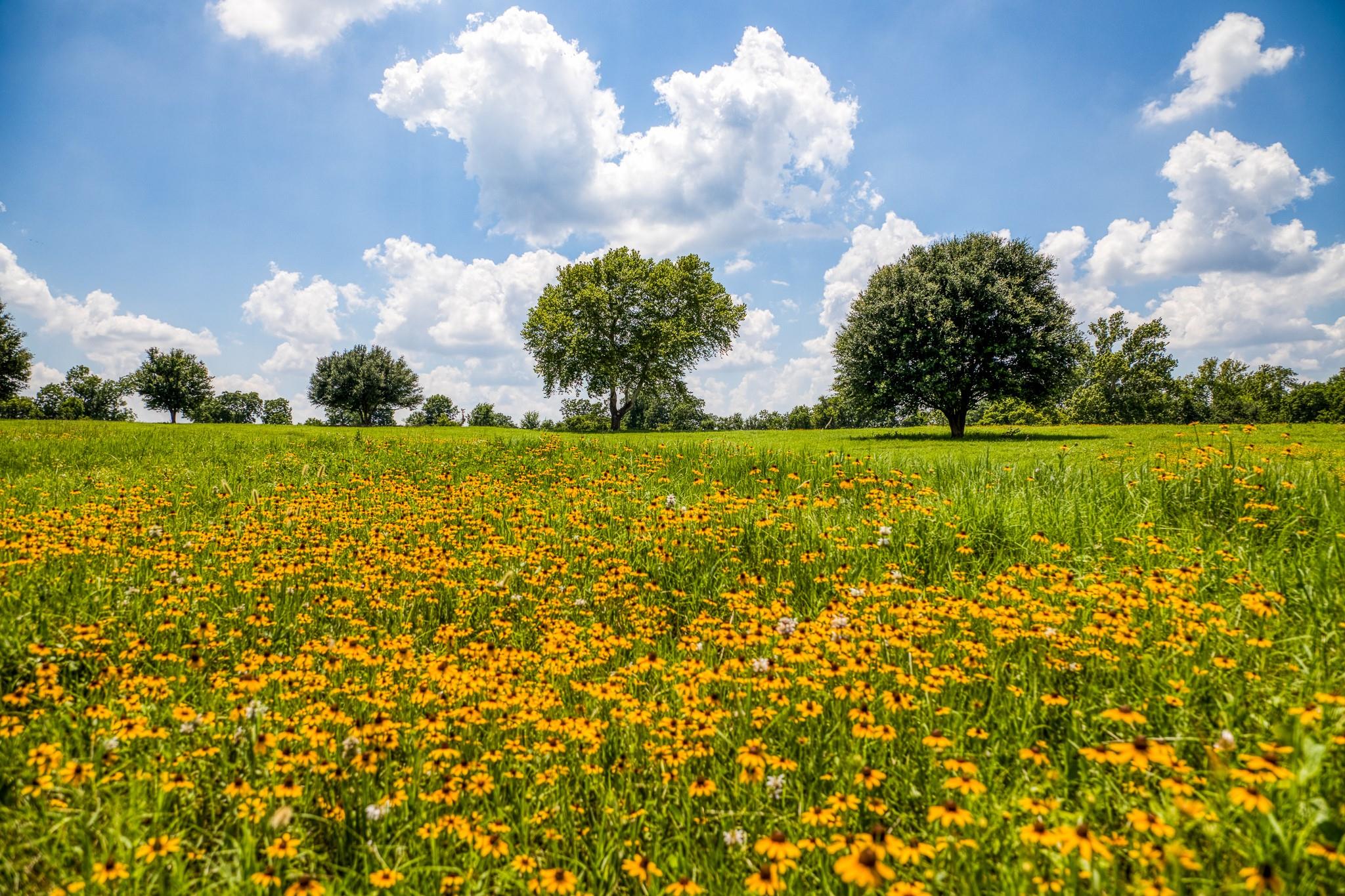 T B D T B D Farm To Market 2726 Road