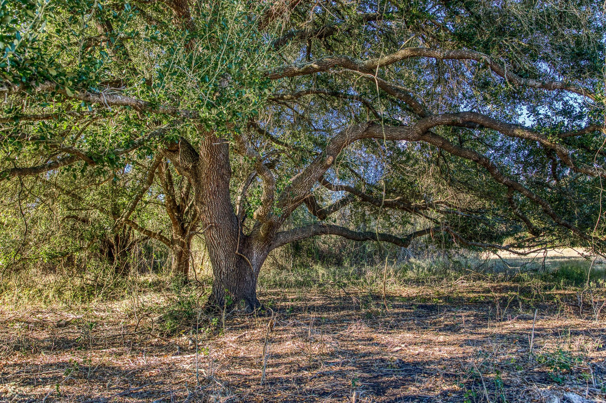 TBD Pleasant Hill School Road