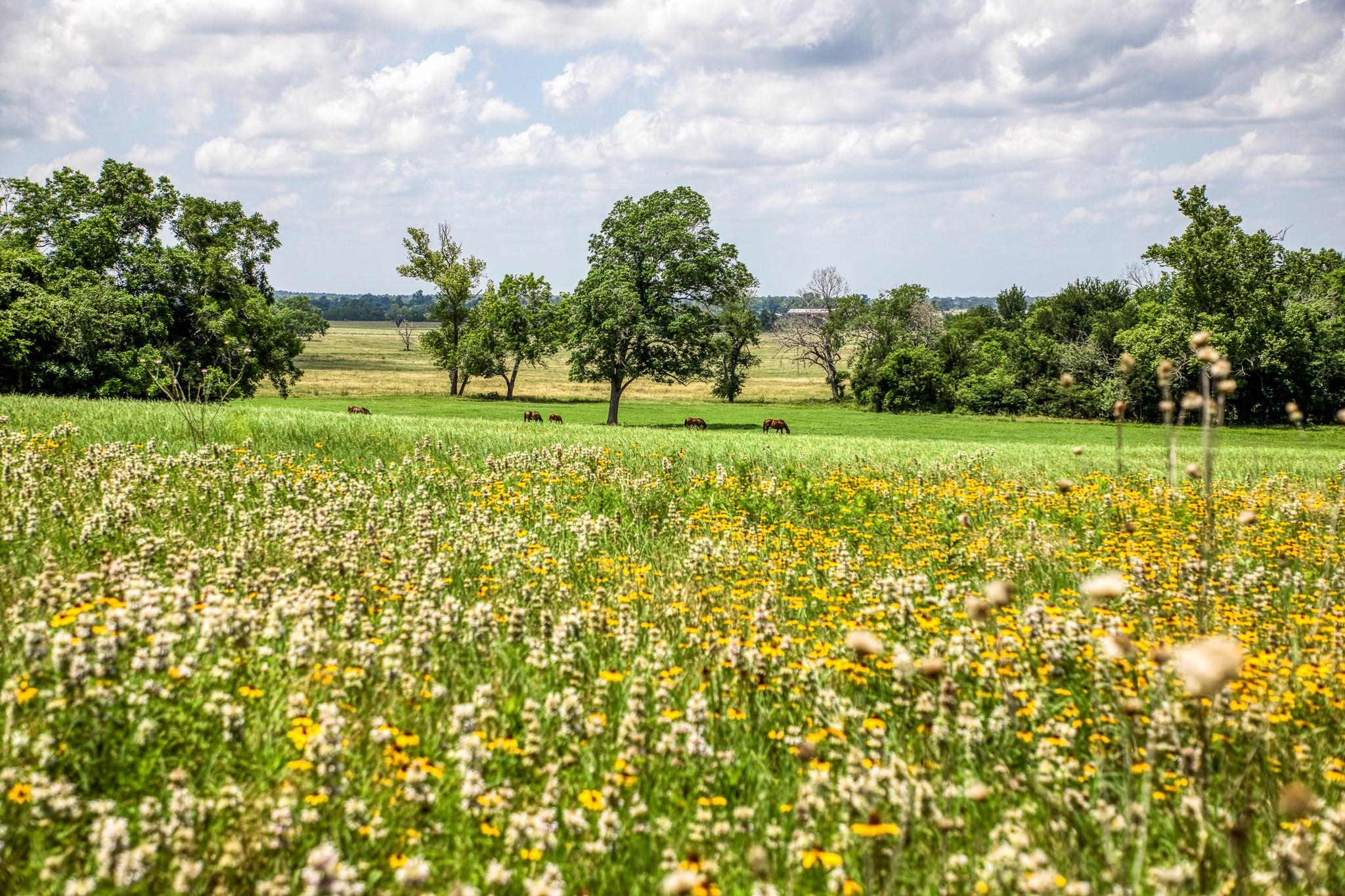 0000 Egypt Lane Lane