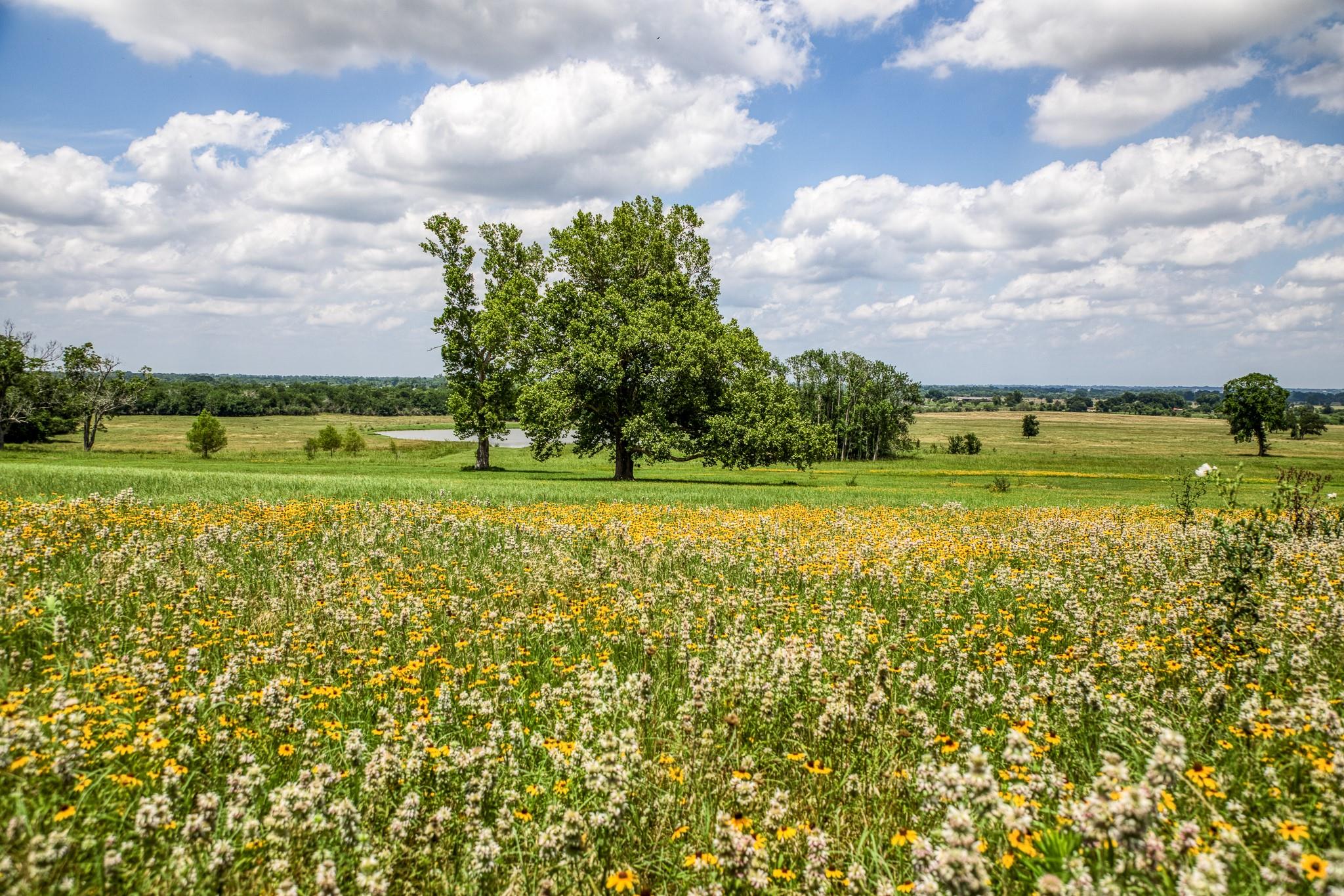 0000 Egypt Lane Lane