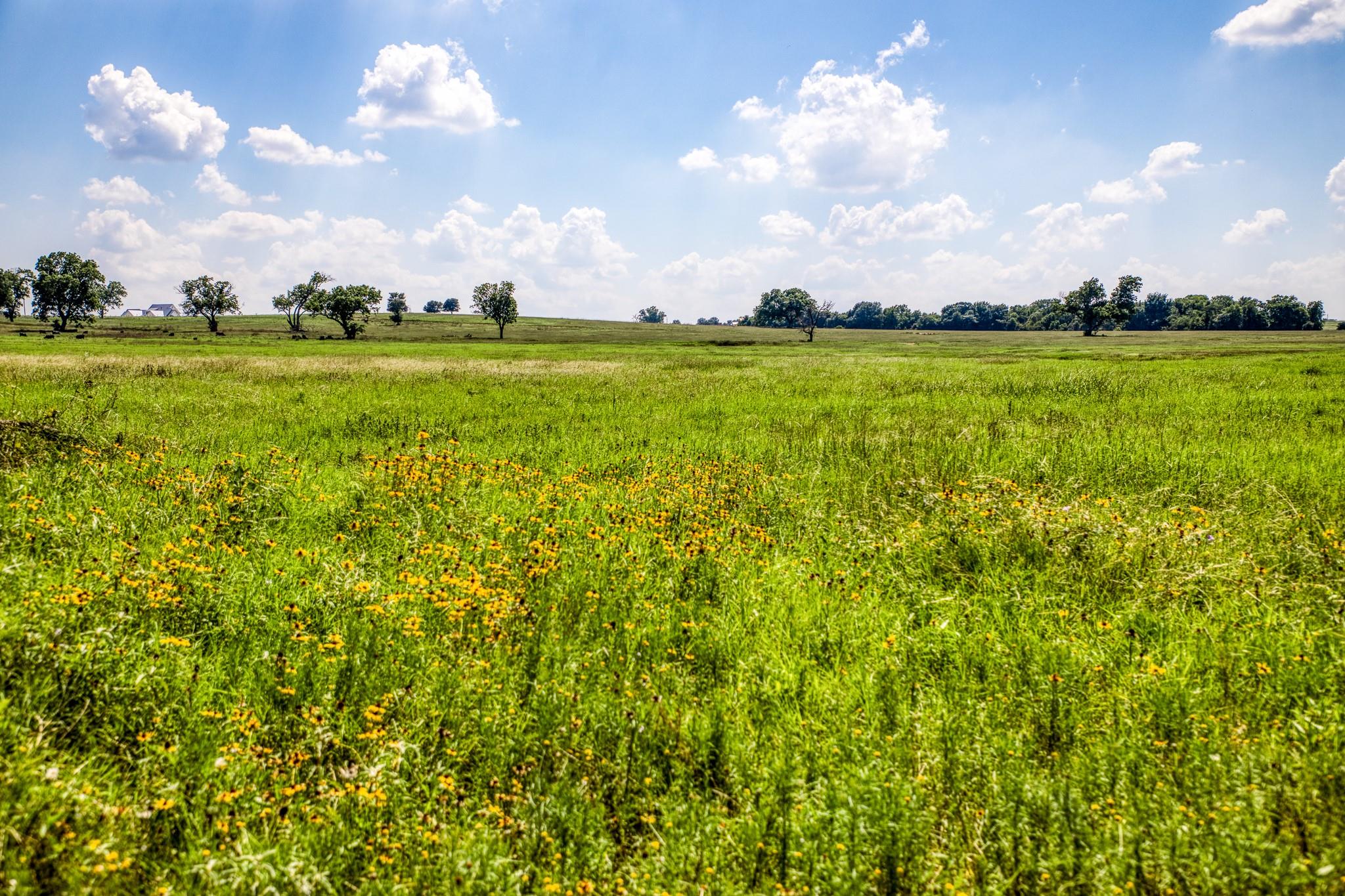 0000 Egypt Lane Lane