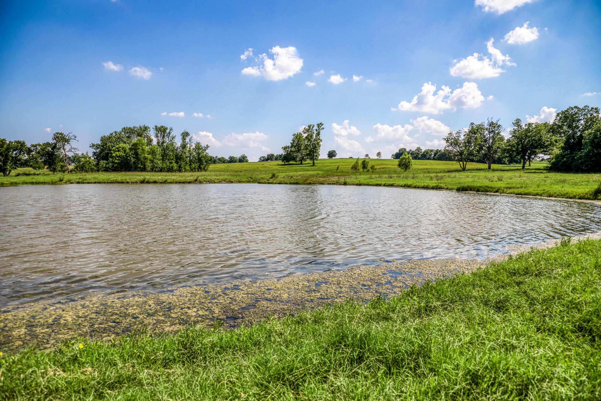 0000 Egypt Lane Lane