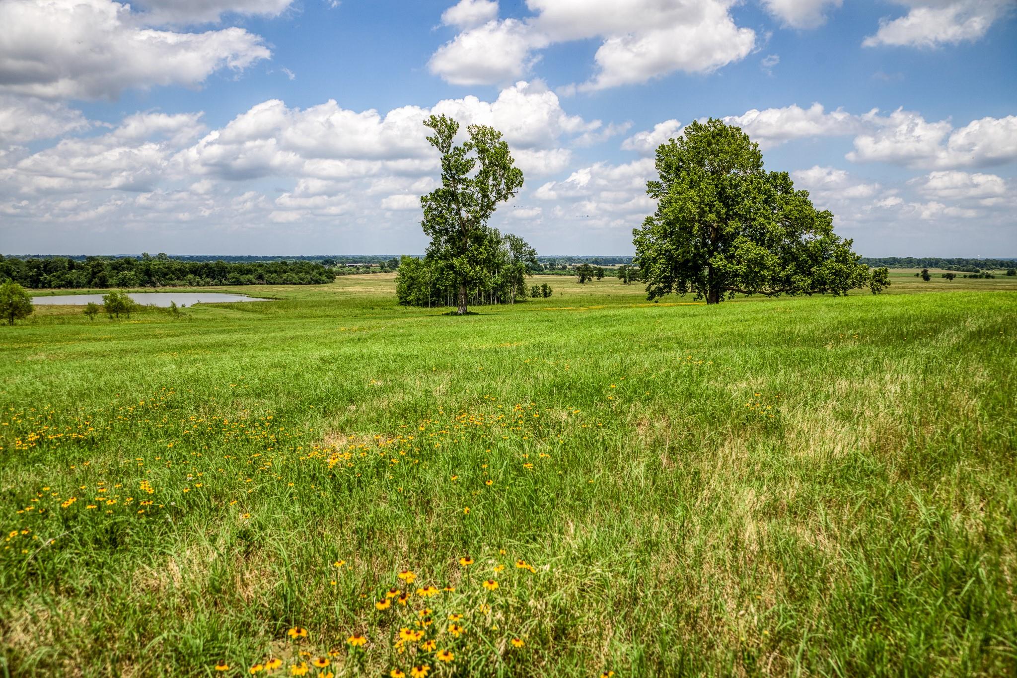 0000 Egypt Lane Lane