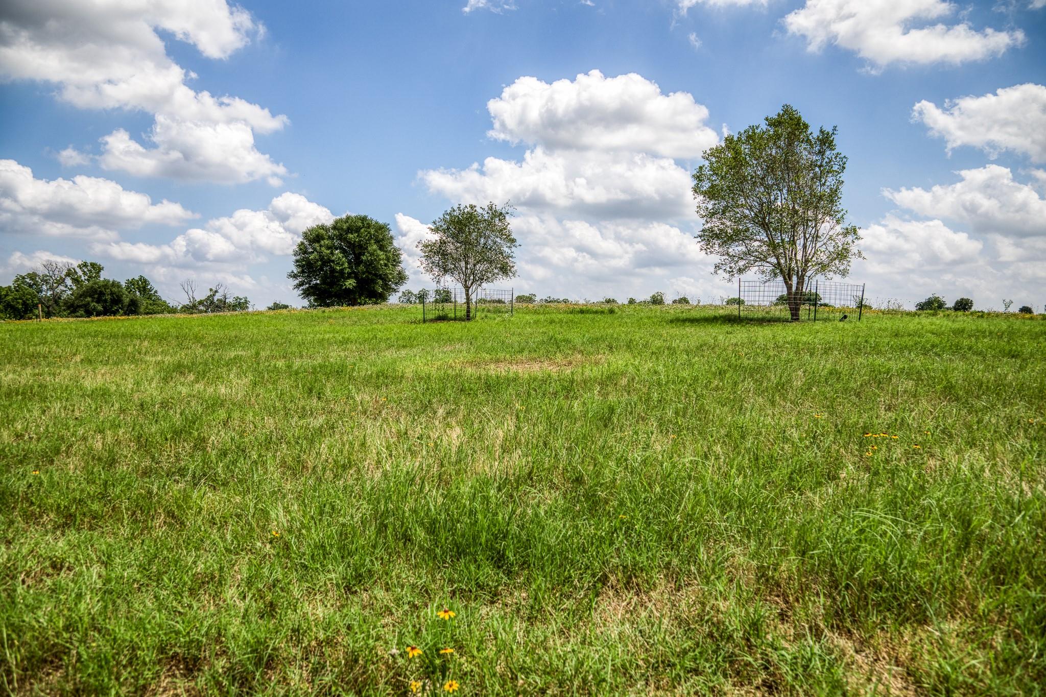 0000 Egypt Lane Lane