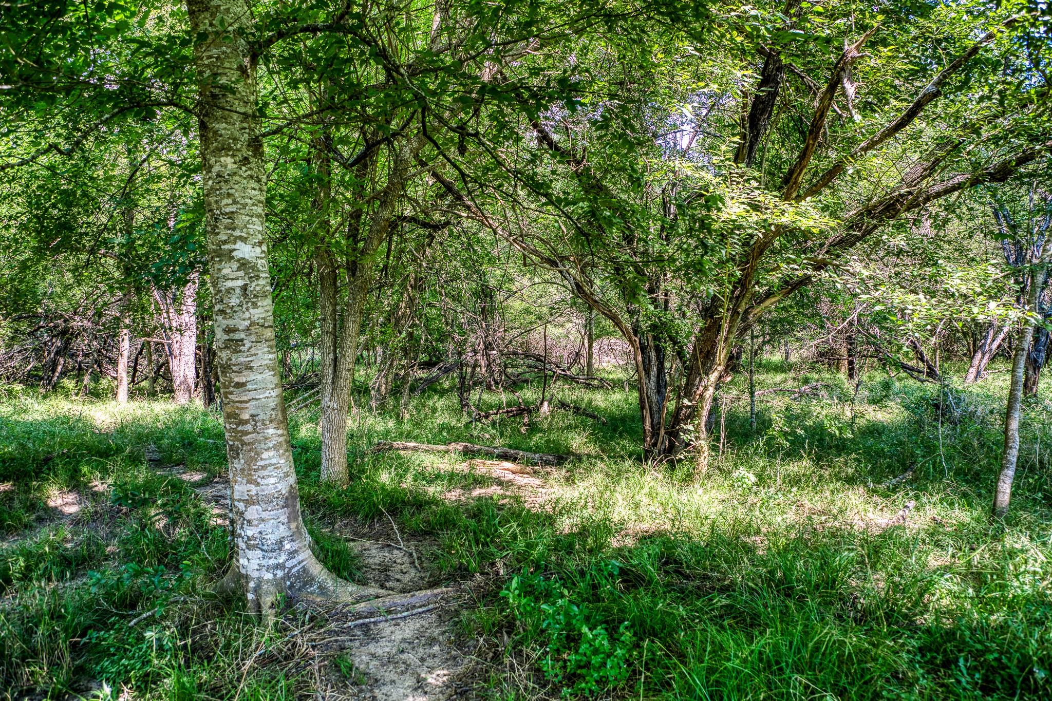 0000 Egypt Lane Lane