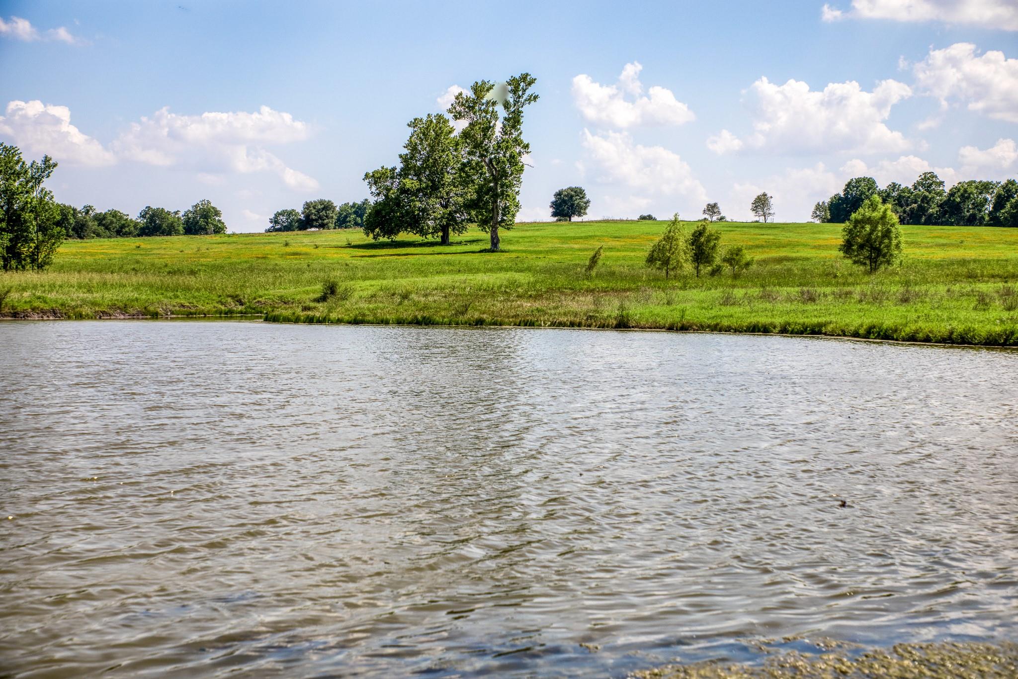 0000 Egypt Lane Lane