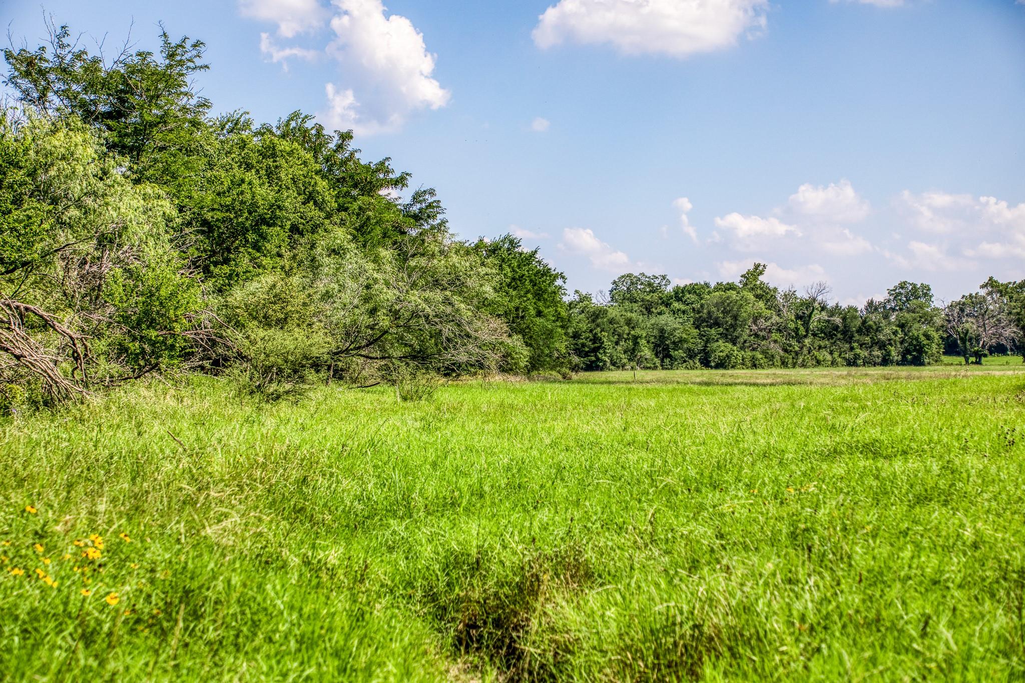 0000 Egypt Lane Lane