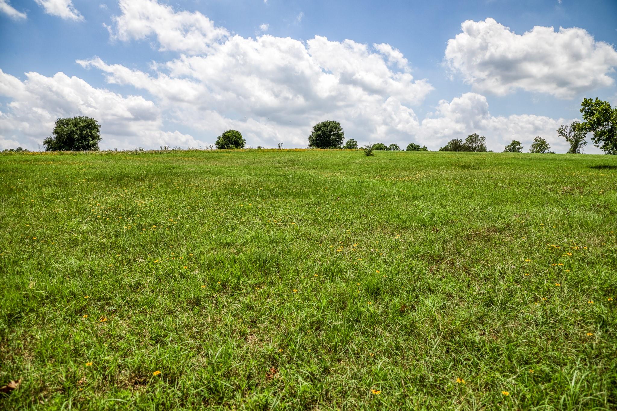 0000 Egypt Lane Lane