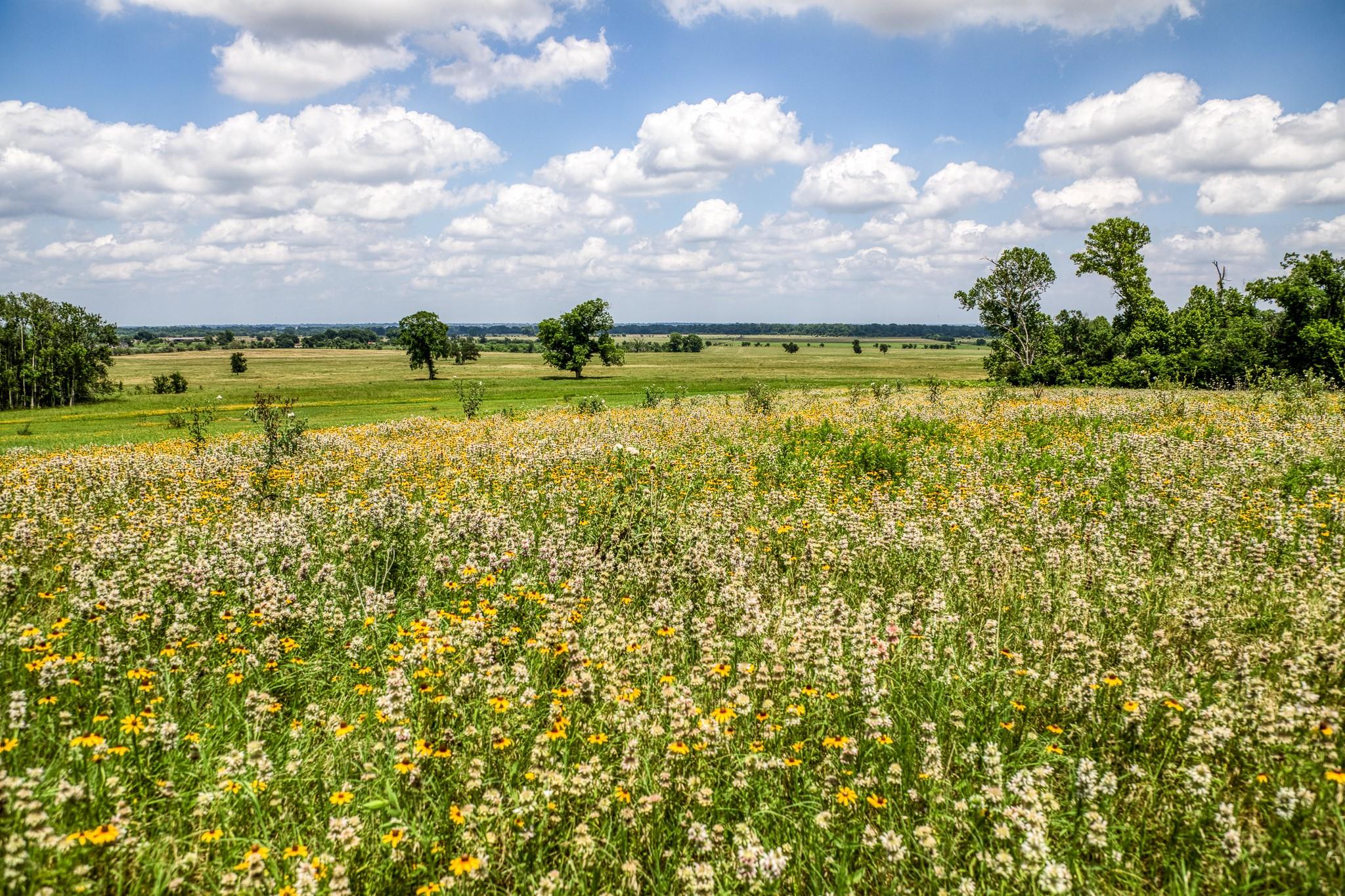 0000 Egypt Lane Lane